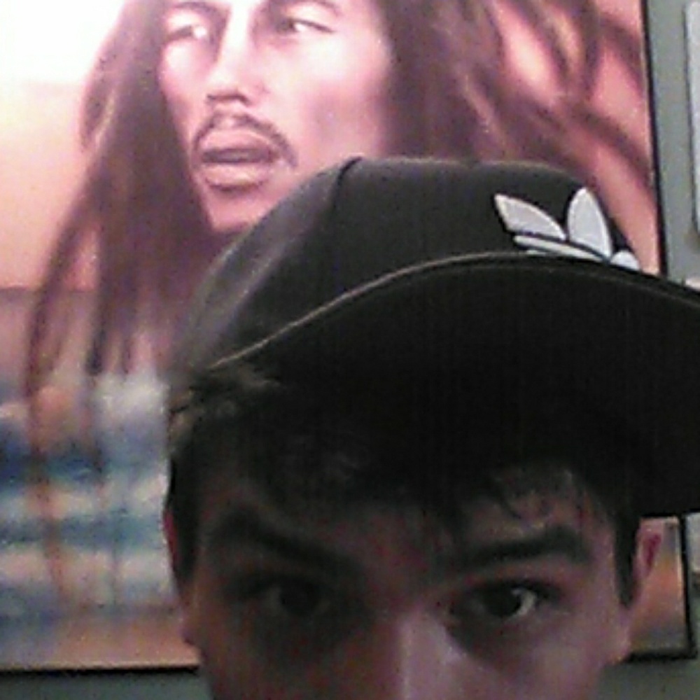 Meet your Posher, Manny